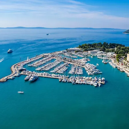 Maya Con Dios Daire *