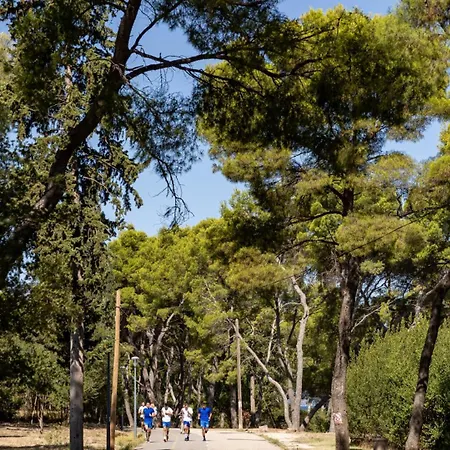 Maya Con Dios Daire Split