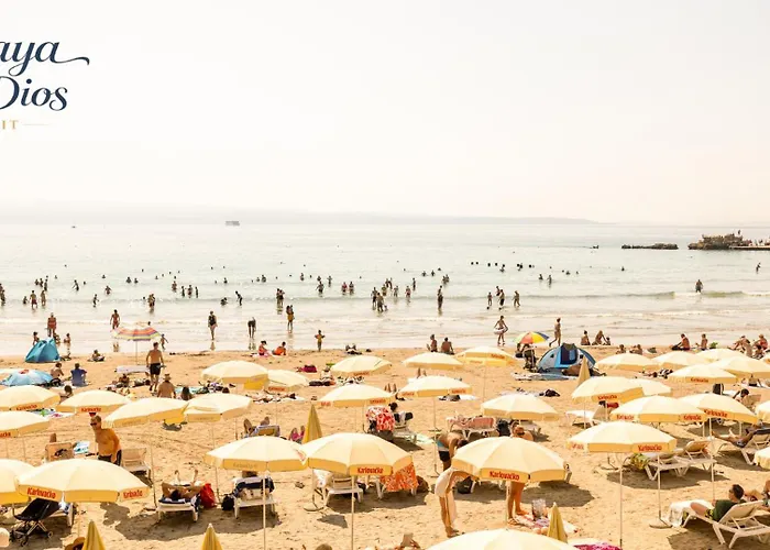 Maya Con Dios Apartamento